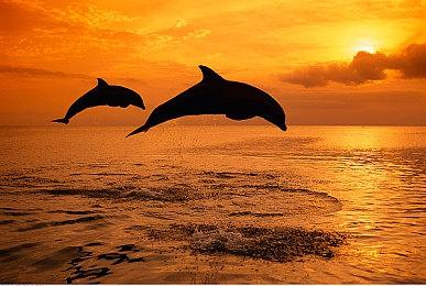 《暗黑破坏神4》公测首周 已有百万玩家达成20级奖励