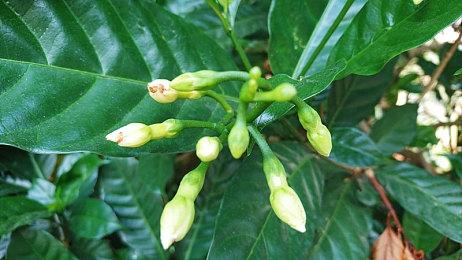 麦克演员：《GTA6》不会因为加入女主而变得政治正确